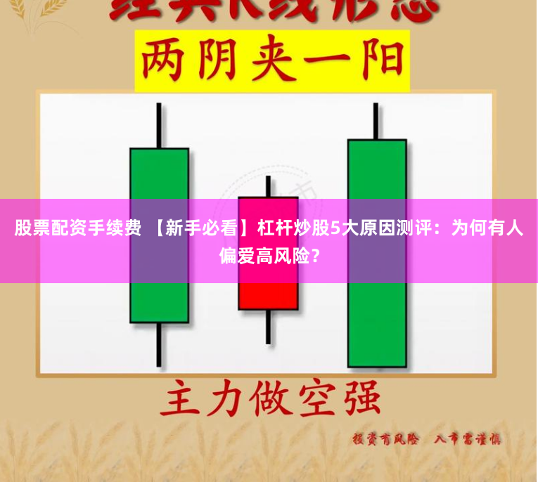 股票配资手续费 【新手必看】杠杆炒股5大原因测评：为何有人偏爱高风险？
